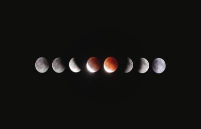 Лунный календарь на неделю с 31 мая по 6 июня. Время высаживать кабачки, тыкву и патиссоны - ont.by