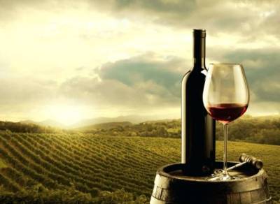 Эксперты и спикеры из 18 стран приняли участие в Odessa Wine Week - lenta.ua - Австрия - Япония - Одесса - Odessa