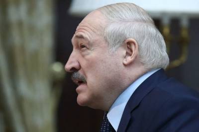 Владимир Путин - Александр Лукашенко - Путин пообещал Лукашенко денег и дополнительные рейсы - newsland.com - Россия - Сочи - Белоруссия - Минск