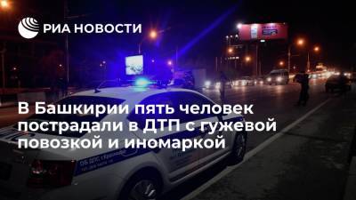 В Башкирии пять человек пострадали в ДТП с гужевой повозкой и иномаркой - ria.ru - Башкирия - Уфа - район Мечетлинский
