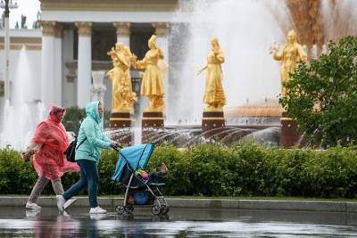 Около 40 процентов месячной нормы осадков выпало в Москве в субботу - vm.ru - Москва