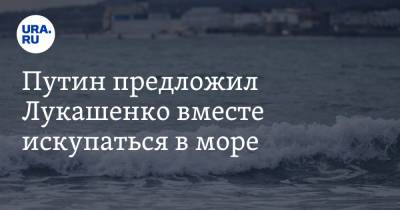 Владимир Путин - Александр Лукашенко - Путин предложил Лукашенко вместе искупаться в море - ura.news - Сочи