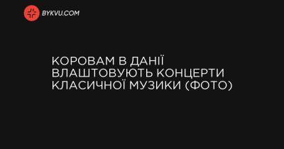 Коровам в Данії влаштовують концерти класичної музики (фото) - bykvu.com - New York