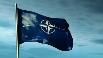 В Швеции назвали позором соглашение страны с НАТО - 5-tv.ru - Россия - Швеция - Стокгольм