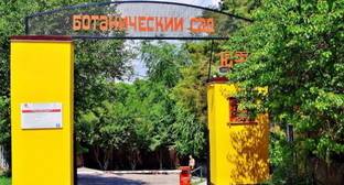Платный вход в Ботанический сад Ростова-на-Дону возмутил пользователей соцсетей - kavkaz-uzel.eu - Ростов-На-Дону