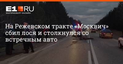 На Режевском тракте «Москвич» сбил лося и столкнулся со встречным авто - e1.ru - Екатеринбург - Алапаевск
