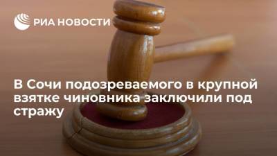 В Сочи подозреваемого в крупной взятке чиновника заключили под стражу - ria.ru - Россия - Сочи - Краснодарский край