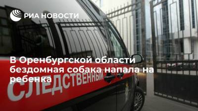 Денис Паслер - В Оренбургской области бездомная собака напала на ребенка - ria.ru - Россия - Уфа - Оренбург - Оренбургская обл.