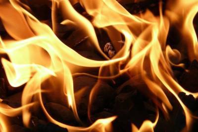 Под Новосибирском мужчина погиб на пожаре в строительном вагончике - novos.mk.ru - Новосибирск - Новосибирская обл. - Искитим