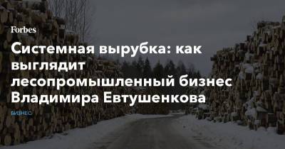 Владимир Евтушенков - Системная вырубка: как выглядит лесопромышленный бизнес Владимира Евтушенкова - forbes.ru