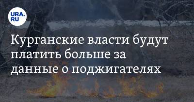 Вадим Шумков - Курганские власти будут платить больше за данные о поджигателях - ura.news - Курганская обл.