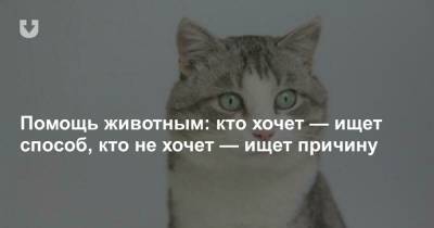Помощь животным: кто хочет — ищет способ, кто не хочет — ищет причину - news.tut.by