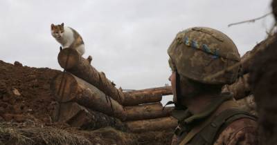 В течение суток боевики раз нарушили достигнутые договоренности — ООС - tsn.ua