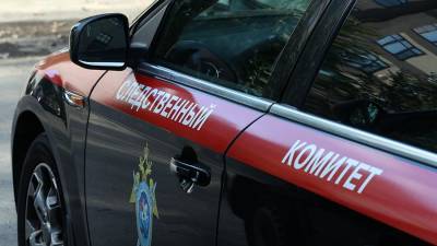В Волгодонске от отравления после посещения кафе умер двухлетний ребенок - runews24.ru - Ростовская обл. - Волгодонск