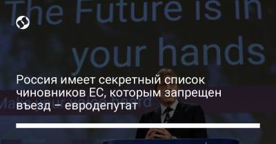 Владимир Чижов - Россия имеет секретный список чиновников ЕС, которым запрещен въезд – евродепутат - liga.net