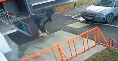 На Урале овчарка вырвала поводок у пьяной хозяйки и напала на детей - reendex.ru - Первоуральск
