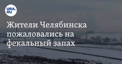 Виталий Безруков - Жители Челябинска пожаловались на фекальный запах - ura.news - Челябинск - Экология