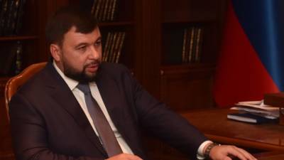 Владимир Зеленский - Петр Порошенко - Денис Пушилин - Олег Никитин - Пушилин объяснил, почему Зеленский проиграет на следующих выборах - nation-news.ru - Киев - ДНР