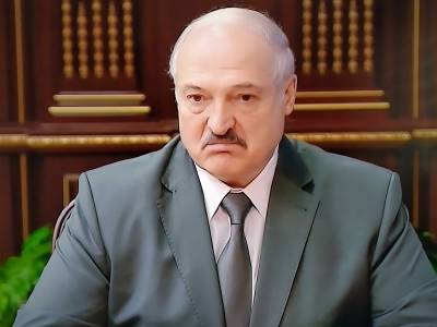 Александр Лукашенко - Джули Фишер - Посол США в Беларуси: Лукашенко ищет виноватых в кризисе, а не пути выхода из него - sobesednik.ru - США - Белоруссия