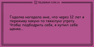 Анекдоты 3 мая подарят вам хорошее настроение до конца дня - ТЕЛЕГРАФ - telegraf.com.ua