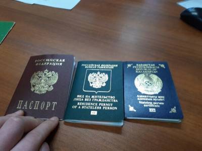 Длительно находящихся в России мигрантов обяжут получать единый электронный документ - nazaccent.ru