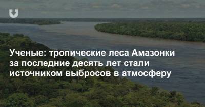Ученые: тропические леса Амазонки за последние десять лет стали источником выбросов в атмосферу - news.tut.by - Экология
