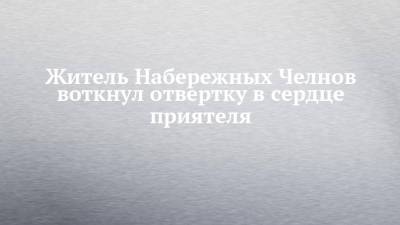 Житель Набережных Челнов воткнул отвертку в сердце приятеля - chelny-izvest.ru - Набережные Челны