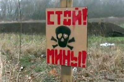 Людмила Денисова - Оккупанты минируют околицы Донецка и Луганска - real-vin.com - Донецк - Луганск