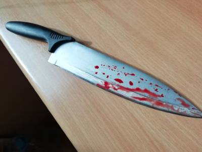 В Башкирии мужчина набросился с ножом на сестру - ufacitynews.ru - Башкирия - район Альшеевский