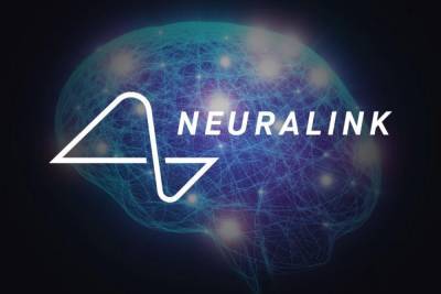 Илон Маск - Илон Маск - Сооснователь Neuralink Макс Ходак объявил об уходе из нейротехнологического стартапа Илона Маска - itc.ua