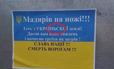 Мадьяр на ножи! — националисты призывают резать венгров - anna-news.info - Закарпатская обл.