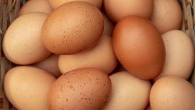 Светлана Литвин - В Украине подешевеет популярный продукт, который есть в каждом холодильнике - vchaspik.ua