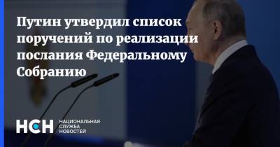 Владимир Путин - Михаил Мишустин - Путин утвердил список поручений по реализации послания Федеральному Собранию - nsn.fm