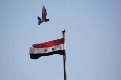 Башар Асад - В выборах президента Сирии будут участвовать три кандидата - pnp.ru - Сирия - Сана