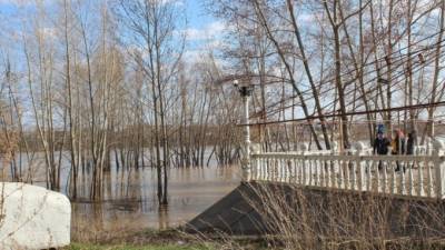 В реке Бия уровень воды превысил критическую отметку - runews24.ru - Бийск