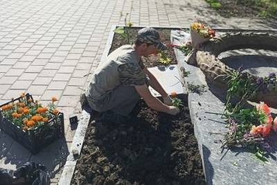 До начала лета клумбы Краснодара украсят более 330 тысяч цветов - kuban.mk.ru - Краснодар