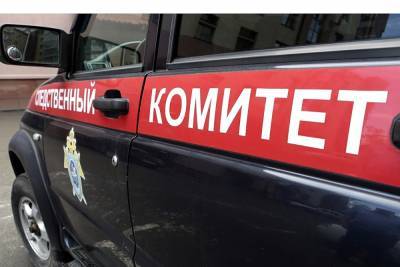 Шестилетний ребенок за рулем сбил насмерть свою маму - znak.com - Москва - Курская обл.