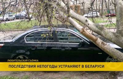 Синоптики рассказали, сколько еще будет сохраняться оранжевый уровень из-за ветра - ont.by - Минск