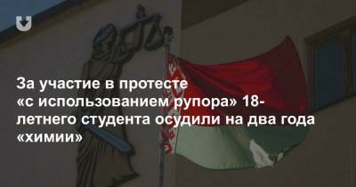 За участие в протесте «с использованием рупора» 18-летнего студента осудили на два года «химии» - news.tut.by - Минск