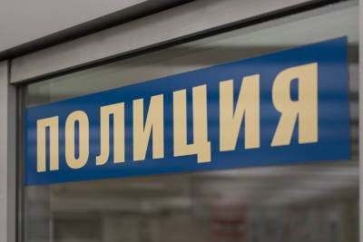 Жительница Подмосковья придумала грабителя, чтобы ей быстрее восстановили паспорт - mk.ru - Московская обл. - Подольск