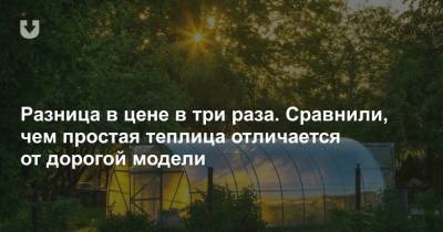Разница в цене в три раза. Сравнили, чем простая теплица отличается от дорогой модели - news.tut.by