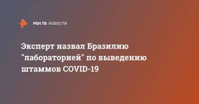 Эксперт назвал Бразилию "лабораторией" по выведению штаммов COVID-19 - ren.tv - Бразилия - Сан-Паулу