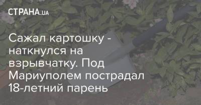 Сажал картошку - наткнулся на взрывчатку. Под Мариуполем пострадал 18-летний парень - strana.ua - Горловка - Мариуполь - Донецкая обл.