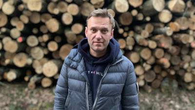 Сергей Марков - Навальный - Политолог Марков поддержал меры против работы медиаресурсов ФБК - polit.info