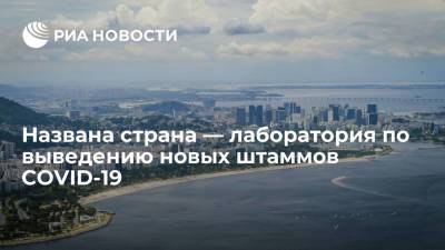Названа страна — лаборатория по выведению новых штаммов COVID-19 - ria.ru - Рио-Де-Жанейро - Бразилия - Сан-Паулу