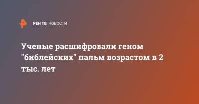 Ученые расшифровали геном "библейских" пальм возрастом в 2 тыс. лет - ren.tv - Нью-Йорк - Абу-Даби