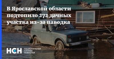 В Ярославской области подтопило 272 дачных участка из-за паводка - nsn.fm - Ярославская обл.