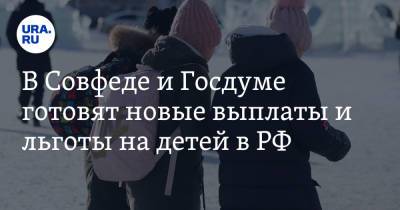 Инна Святенко - В Совфеде и Госдуме готовят новые выплаты и льготы на детей в РФ - ura.news