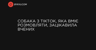 Собака з TikTok, яка вміє розмовляти, зацікавила вчених - bykvu.com - Украина - New York