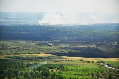 В России за сутки ликвидировали 53 лесных пожара - aif.ru - Красноярский край - Иркутская обл. - Башкирия - Тюменская обл. - респ. Саха - Свердловская обл. - Курганская обл. - Новосибирская обл. - Омская обл.